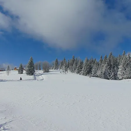 Hébergement de vacances Vikendica Sekulic *