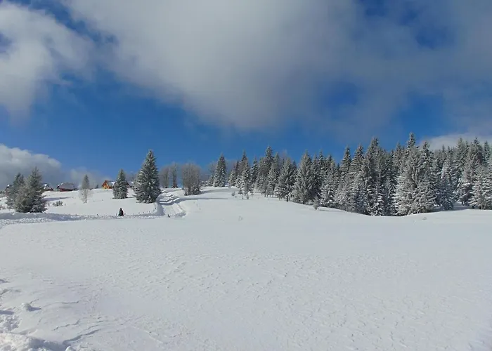 펜션 Vikendica Sekulic *